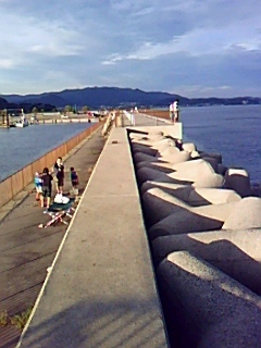 090823_1744~0001.jpg
