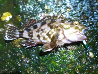 SN3L0002.JPG