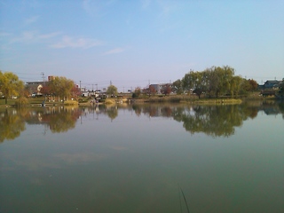 SN3L0027.JPG